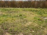 Terrain à bâtir à Nesles (62152) 2653005-11072annonce120260928y3pF4.jpeg Maisons France Confort
