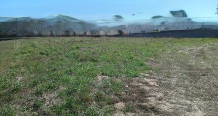 La Mothe-Achard Maison neuve - 2653220-11931annonce120260928BwsT0.jpeg Maisons France Confort