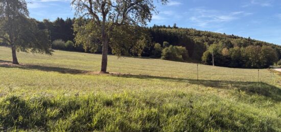 Terrain à bâtir à , Haut-Rhin
