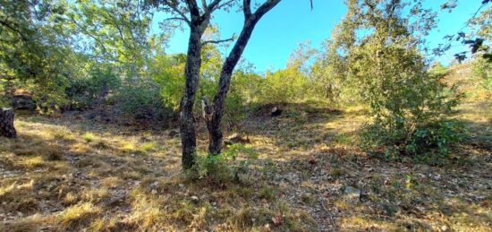 Terrain à bâtir à Carnoules, Provence-Alpes-Côte d'Azur
