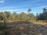 Terrain à bâtir à Mios (33380) 2649340-11954annonce120260925vlHfZ.jpeg Maisons France Confort