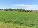 Maison à construire à Auzielle (31650) 2639625-5771annonce120260911ZM6Ba.jpeg Maisons France Confort