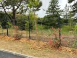 Maison à construire à Pompertuzat (31450) 2649576-5771annonce120260925cTldh.jpeg Maisons France Confort