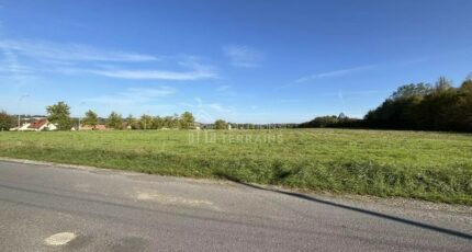 Mary-sur-Marne Maison neuve - 2650346-10924annonce120260925OfnZu.jpeg Maisons France Confort