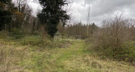 Vulaines-sur-Seine Maison neuve - 2650503-10924annonce120260925Tk6D7.jpeg Maisons France Confort