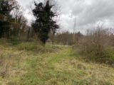 Maison à construire à Vulaines-sur-Seine (77870) 2650505-10924annonce120260925Tk6D7.jpeg Maisons France Confort