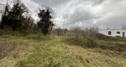 Vulaines-sur-Seine Maison neuve - 2650507-10924annonce220260925dQ8A1.jpeg Maisons France Confort