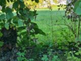 Terrain à bâtir à Parcieux (01600) 2653242-10453annonce120260928wkIWr.jpeg Maisons France Confort
