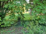 Terrain à bâtir à Parcieux (01600) 2653242-10453annonce320260928HHDss.jpeg Maisons France Confort