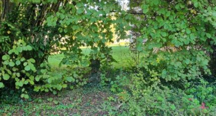 Parcieux Terrain à bâtir - 2653242-10453annonce320260928HHDss.jpeg Maisons France Confort