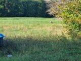 Terrain à bâtir à Parcieux (01600) 2653242-10453annonce420260928XcNyf.jpeg Maisons France Confort