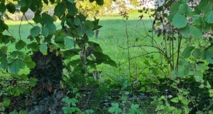 Parcieux Maison neuve - 2653256-10453annonce120260928wkIWr.jpeg Maisons France Confort