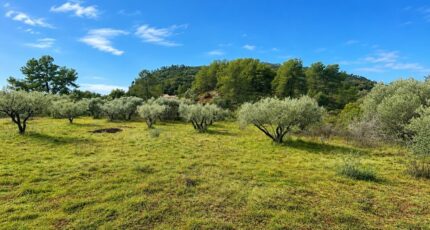 Gonfaron Maison neuve - 2655084-5922annonce120260929JMV86.jpeg Maisons France Confort