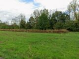 Maison à construire à Camphin-en-Carembault (59133) 2587368-10863annonce12026072109T2Q.jpeg Maisons France Confort
