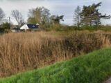 Maison à construire à Marchiennes (59870) 2608439-10863annonce120260825SwclL.jpeg Maisons France Confort