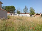 Terrain à bâtir à Marcilloles (38260) 2560252-11248annonce120260623FFTMd.jpeg Maisons France Confort