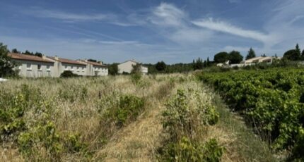 Mazan Terrain à bâtir - 2553499-3418annonce320260617ymliR.jpeg Maisons France Confort