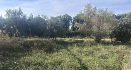 Puget-sur-Argens Terrain à bâtir - 2655241-4529annonce120260929n6lbg.jpeg Maisons France Confort