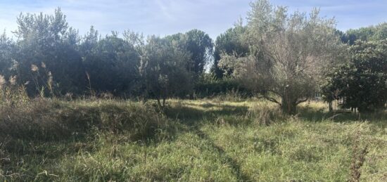 Terrain à bâtir à Puget-sur-Argens, Provence-Alpes-Côte d'Azur