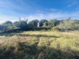 Terrain à bâtir à Puget-sur-Argens (83480) 2655241-4529annonce22026092909GkV.jpeg Maisons France Confort