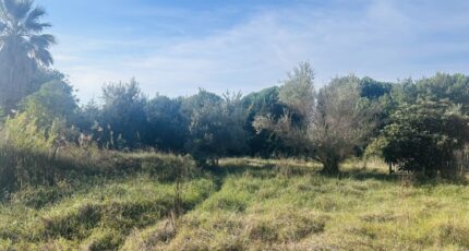 Puget-sur-Argens Terrain à bâtir - 2655241-4529annonce3202609292K5bI.jpeg Maisons France Confort
