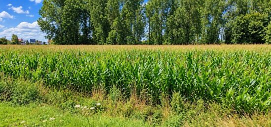 Terrain à bâtir à Douai, Hauts-de-France