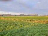 Maison à construire à Brebières (62117) 2613010-11905annonce220260901VXVUN.jpeg Maisons France Confort