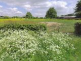 Maison à construire à Gommegnies (59144) 2655643-10863annonce1202609300DxNL.jpeg Maisons France Confort