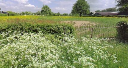 Gommegnies Maison neuve - 2655643-10863annonce1202609300DxNL.jpeg Maisons France Confort