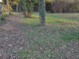 Maison à construire à Houdan (78550) 2629547-11790annonce220260323xIWv1.jpeg Maisons France Confort