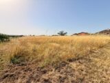 Maison à construire à Saint-Pierre-d’Eyraud (24130) 2655952-11709annonce120260930pTXrL.jpeg Maisons France Confort