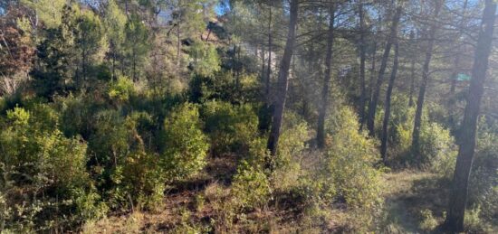 Terrain à bâtir à Brignoles, Provence-Alpes-Côte d'Azur