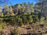 Terrain à bâtir à Brignoles (83170) 2655939-5922annonce220260930FO2W5.jpeg Maisons France Confort