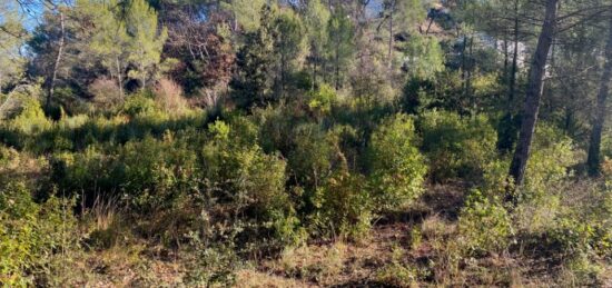 Terrain à bâtir à , Var