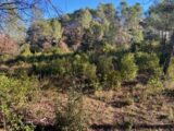 Terrain à bâtir à Brignoles (83170) 2655939-5922annonce420260930IVDdM.jpeg Maisons France Confort