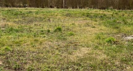 Nesles Maison neuve - 2656057-11072annonce120260928y3pF4.jpeg Maisons France Confort