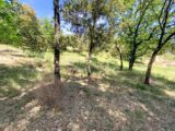 Terrain à bâtir à Puget (84360) 2656461-7060annonce220260608s7vbR.jpeg Maisons France Confort