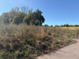 Terrain à bâtir à Hirsingue (68560) 2656411-11939annonce320260930wtONw.jpeg Maisons France Confort