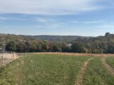 Terrain à bâtir à Altkirch (68130) 2656467-11939annonce120260930x1pcC.jpeg Maisons France Confort