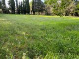 Terrain à bâtir à Grillon (84600) 2657332-6150annonce320260610Nq47f.jpeg Maisons France Confort