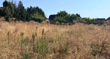 Schnersheim Maison neuve - 2660904-11920annonce120260826R5fVu.jpeg Maisons France Confort