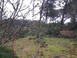 Terrain à bâtir à Garéoult (83136) 2555145-10746annonce120260226bppZk.jpeg Maisons France Confort