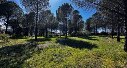 Roquebrune-sur-Argens Maison neuve - 2577156-3701annonce120260707vCTKX.jpeg Maisons France Confort