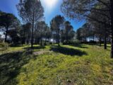 Terrain à bâtir à Roquebrune-sur-Argens (83520) 2577148-3701annonce120260707vCTKX.jpeg Maisons France Confort