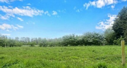 Flines-lès-Mortagne Maison neuve - 2576989-10863annonce120260707MqBbn.jpeg Maisons France Confort