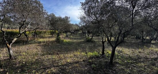Terrain à bâtir à Lorgues, Provence-Alpes-Côte d'Azur