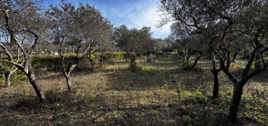 Terrain à bâtir à , Var
