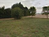 Maison à construire à Mauressac (31190) 2594027-6043annonce120260731UEutS.jpeg Maisons France Confort