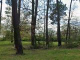 Terrain à bâtir à Grazac (31190) 2594314-6043annonce220260731NkRFr.jpeg Maisons France Confort
