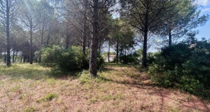Roquebrune-sur-Argens Maison neuve - 2596842-4529annonce220260805fuTAW.jpeg Maisons France Confort